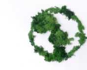 recycling logo made out of green foliage on a white background