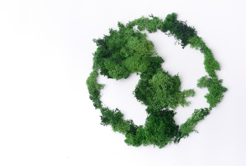 recycling logo made out of green foliage on a white background